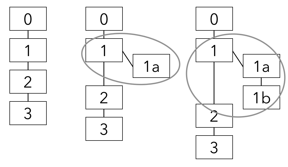 Folgezettel sequence